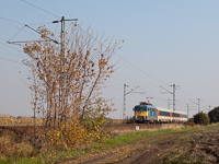kép