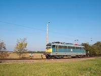 kép