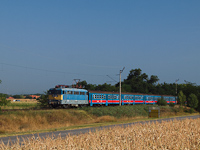 kép