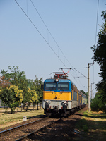 kép