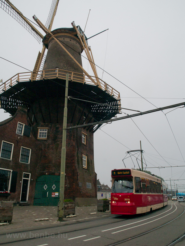 Hgai villamos egy szlmalom mellett Delftben
 fot