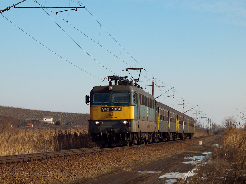 A V43 1366 Tokajnl, a httrben szőlőhegy s prshz
 fot