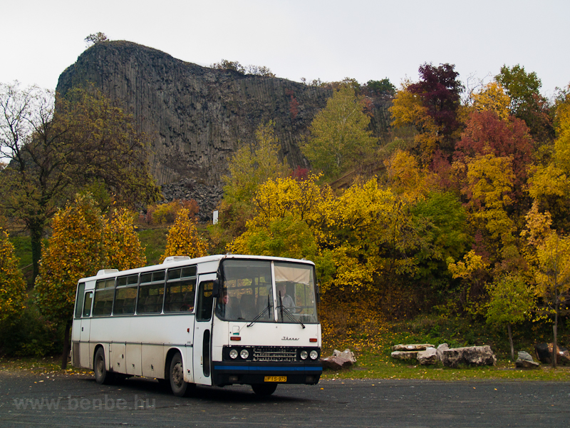 A FIS-975 rendszámú Ikarus 256 a Hegyestűnél
 fotó