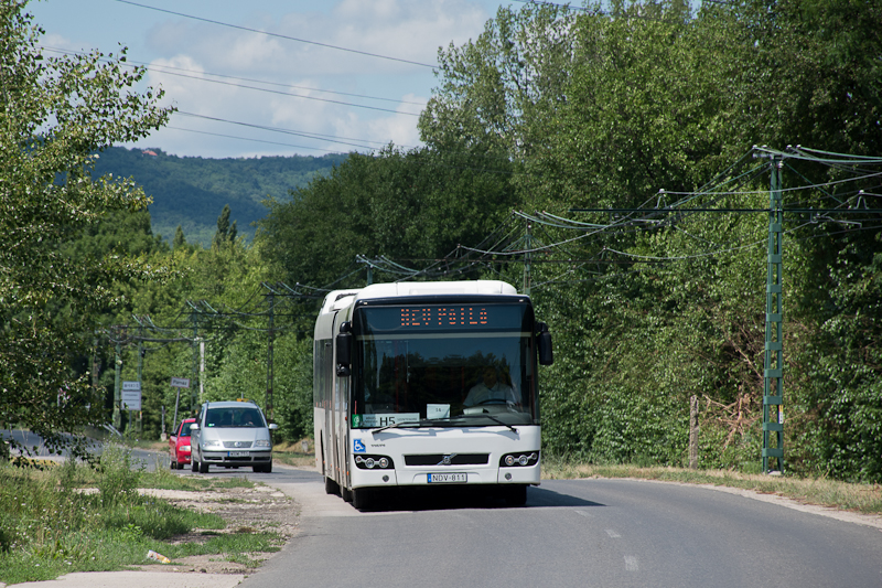 H5 HV-ptl busz Pomzon
 fot