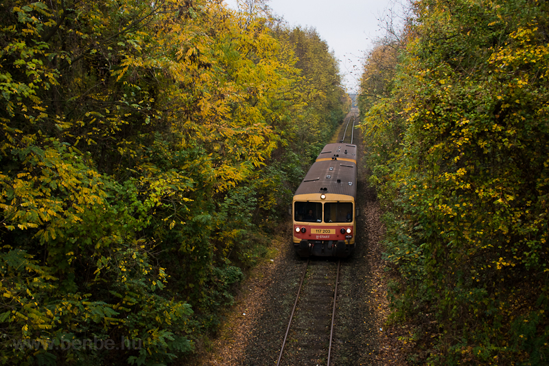 The 117 203 seen near Disjenő photo