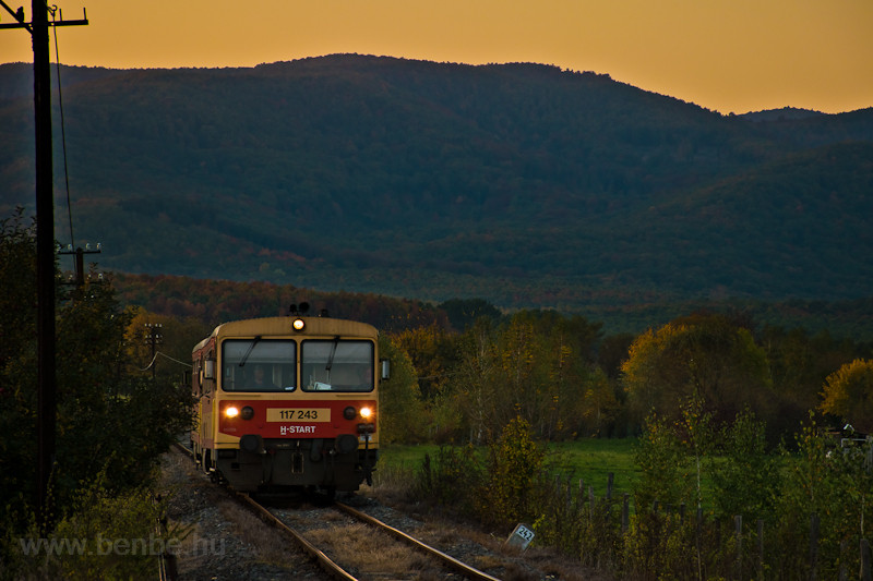 The 117 243 at Ngrd photo