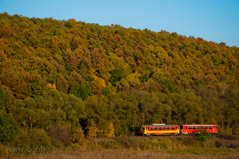 The 117 372 and the 117 343 seen at Berkenye photo