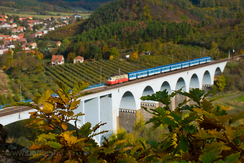 A regional train hauled by a Cesk Drhy Plechc near Dolni Loucky, Czech Republic photo