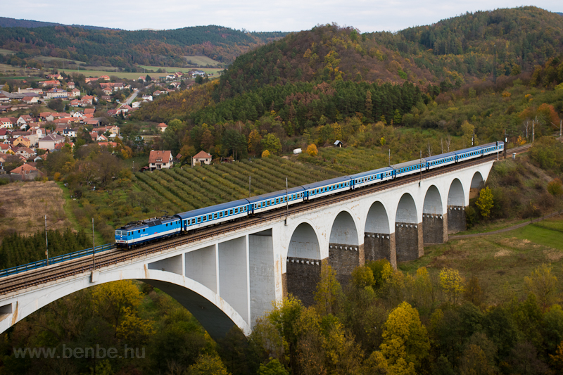 ČD 363-as sz/Eso a Dolni Loučky viadukton
 fot