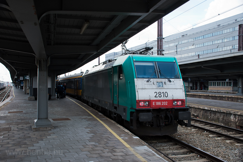 kép Az NS bérelt TRAXX E186 202 (2810) Brussels Zuid / Bruxelles Midi-n Amszterdamba tartó InterCityDirect vonattal
fotó