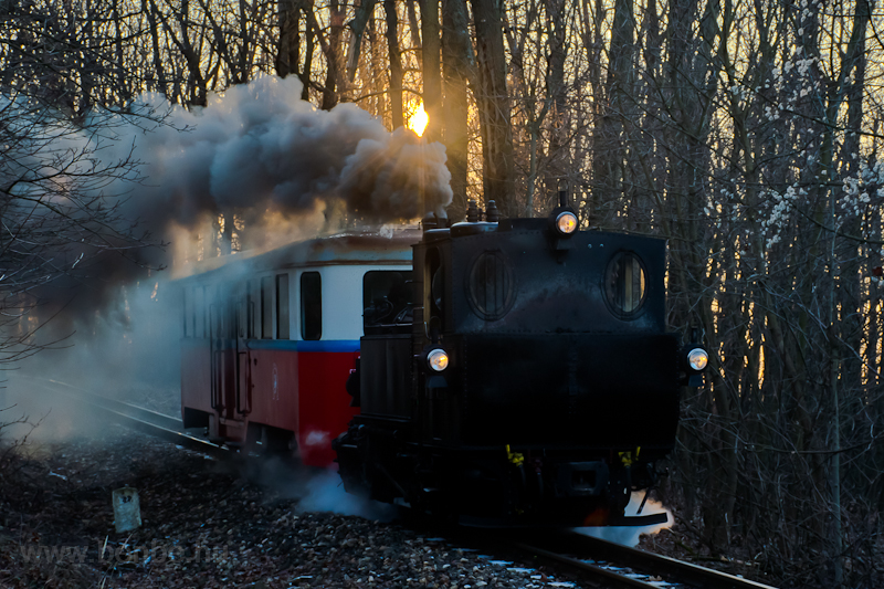 The 490,039 steam locomotive named after Lajos bcsi, late executive officer of the Gyermekvast (Children Railway) seen in the sunset between Csillebrc (former ttrővros) and Virgvlgy (former Előre) photo
