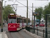 Den Hague tram at Nieuwe Plantage stop.