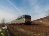 The V43 1013 seen at Tokaj