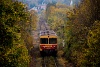 The 117 340 seen near Disjenő