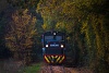 The Kirlyrt Forest Railway Mk48 2017 seen near Kirlyrt als