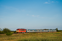 The MÁV-START 418 165 is seen hauling the charter train of the participants of Ozora Festival between Sárszentágota and Sárkeresztúr