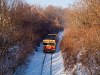 The MV-START 117 310 seen between Magyarkt-Verőce and Fenyveshegy