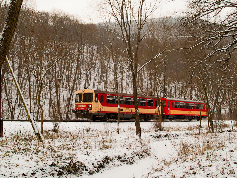 The Bzmot 341 in the forest by Szokolya photo