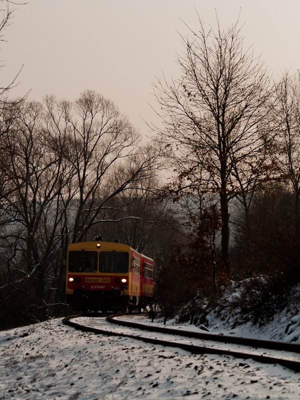 Bzmot 343 Berkenye s Szoko fot