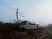 kép