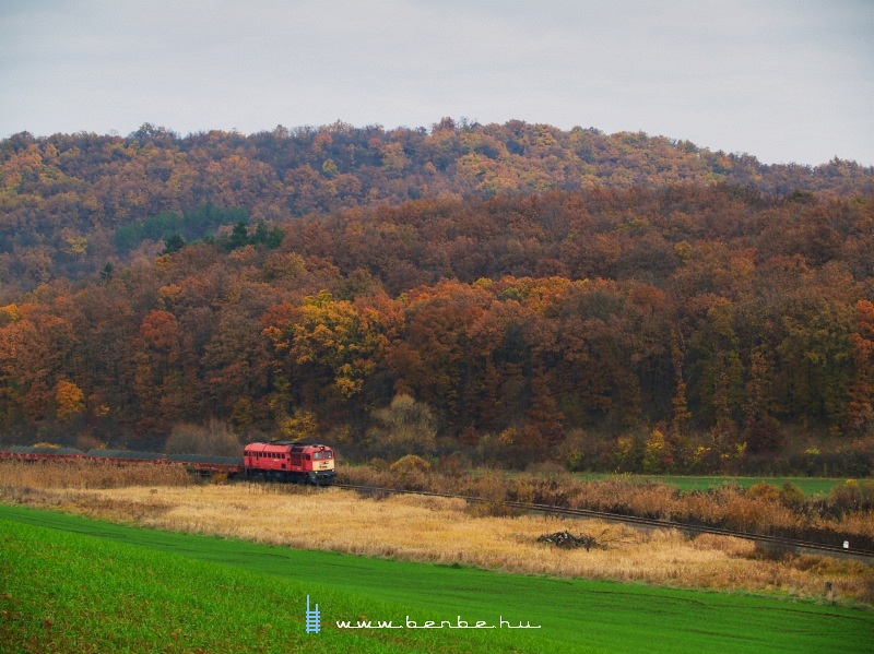 The M62 108 pulling his stone train towards Pspkhatvan photo