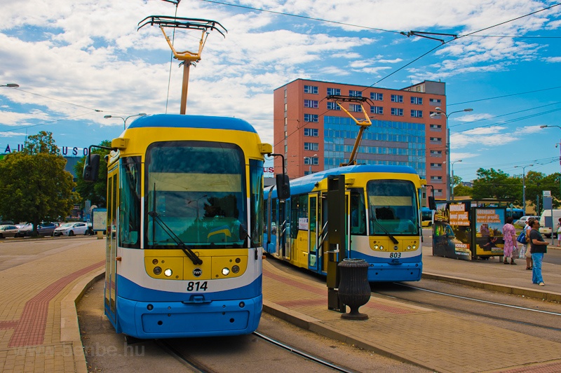 Trams at Košice photo