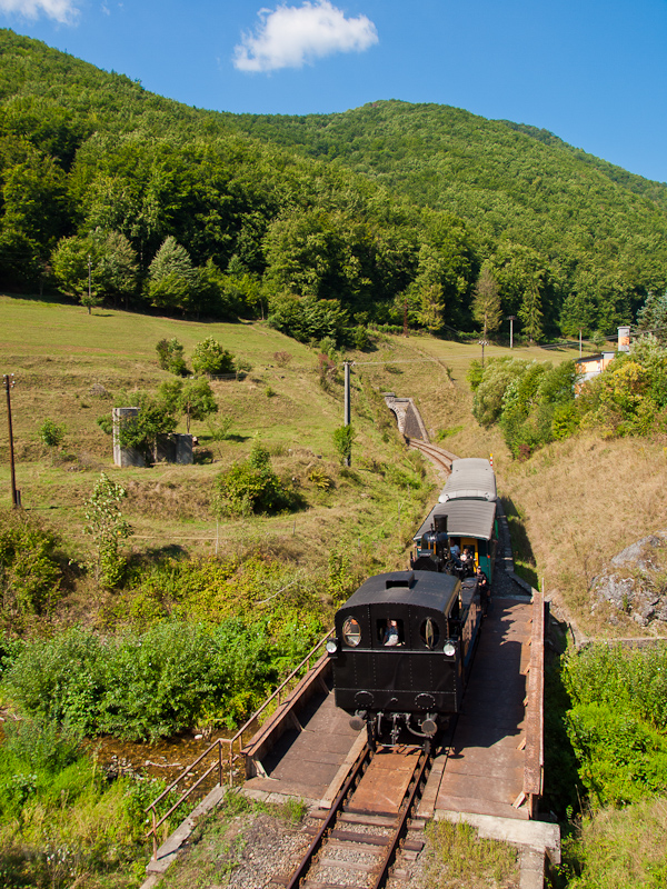 The Magyar Kirlyi llamvas photo