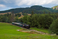 The Magyar Kirlyi llamvasutak TIVc. osztly 4296 seen between Zbojsk and Tisovec-Bnovo