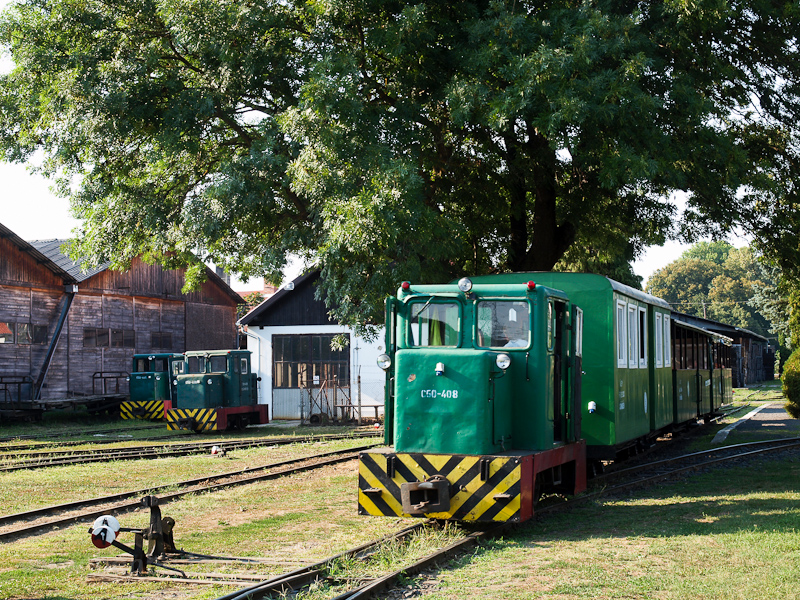 A Csmdri Erdei Vast C50-408 ltal vontatott szerelvnye Csmdren fot