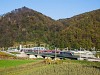 A SŽ 312 Desiro motorvonatok csatolva Laško és Celje között