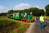 The little train of the Csmdr Narrow-gauge Forest Railway seen with C50-408 at Ikldbrdcei temető