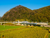 The SŽ 310 Pendolino seen between Laško and Celje