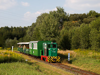 The little train of the Csmdr Narrow-gauge Forest Railway seen with C50-408 at Ikldbrdcei temető