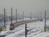 kép