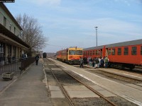 kép