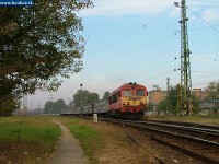 kép