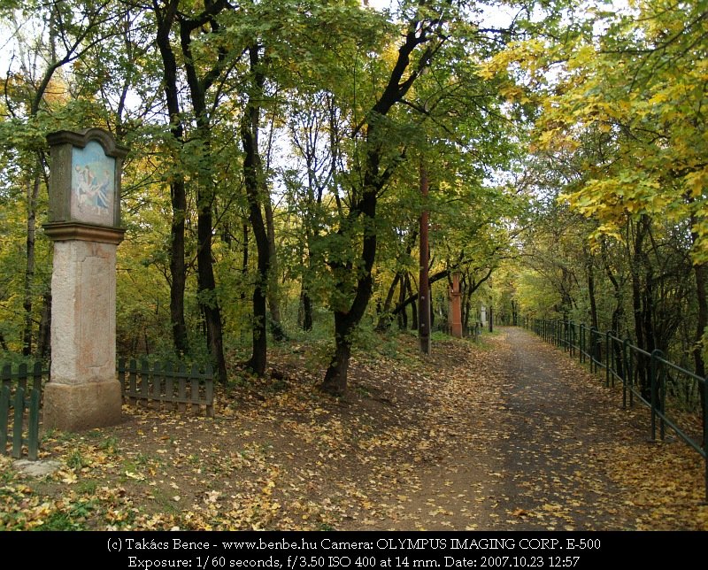 Stcik az budai Schmidt-kastly parkjban fot