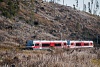 The ŽSSK 425 953-7 seen between Vyšn Hgy and Popradske pleso