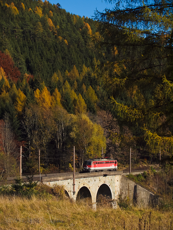 The BB 1142 601 seen between Breitenstein and Klamm-Schottwien on the Rumplergraben-viadukt photo