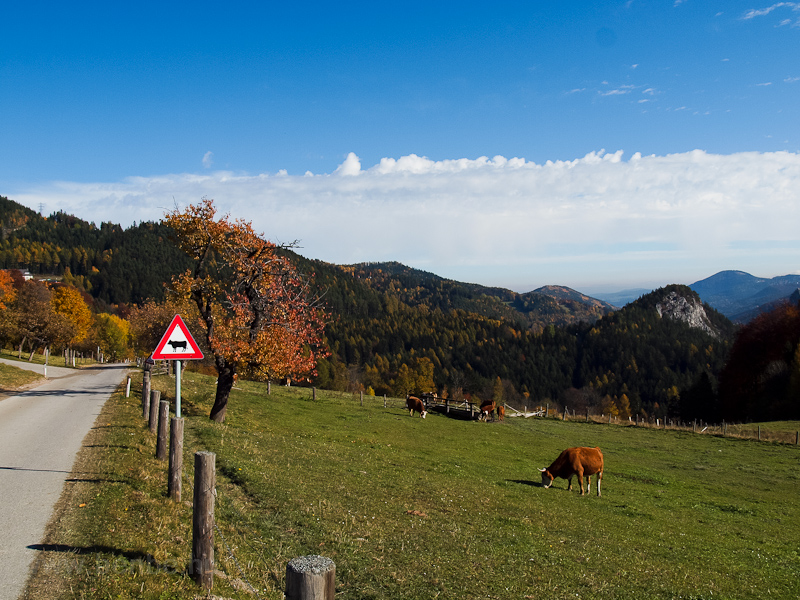 A sign calling for attentio photo