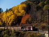 The BB 1142 593 seen between Breitenstein and Klamm-Schottwien