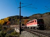 The BB 1142 593 seen between Breitenstein and Klamm-Schottwien