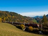 An BB Taurus is seen hauling a freight train between Klamm-Schottwien and Breitenstein