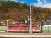 An BB 1142 is waiting to help out as a banker locomotive at Gloggnitz station