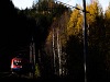 The RailCargoHungaria 1116 013 seen between Breitenstein and Wolfsbergkogel