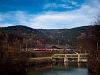 An BB 1142 and a 1144 seen near a dam on the section between Gloggnitz and Schlglmhl