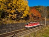 The BB 1142 601 seen between Breitenstein and Klamm-Schottwien