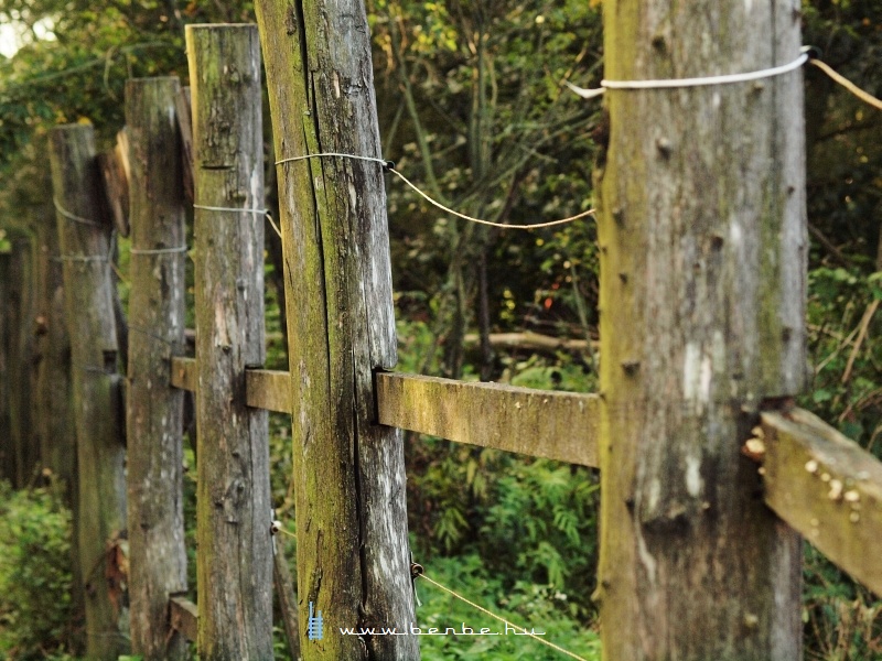Wooden fence by the railway photo