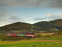 The 750 272-7 with a stopping train near Vglas, Slovakia