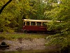 The Nagybrzsnyi Erdei Vast 8444 001-5 seen between Mrianosztra and Fsts forrs